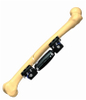 FEMUR 1.3