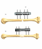 HUMERUS 5.1