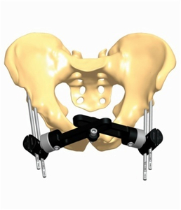 PELVIS 1.2