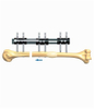 HUMERUS 6.1