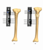  TIBIA 4.1